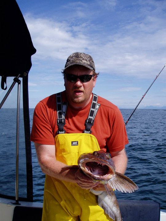 lingcod.jpg