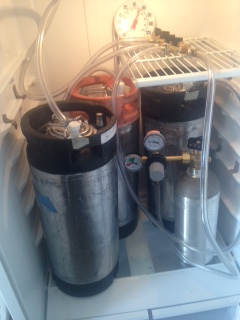 kegs in fridge.jpg