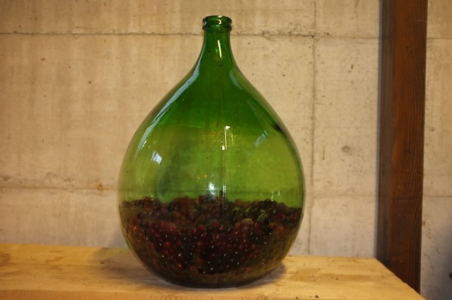 DSCF5159.jpg