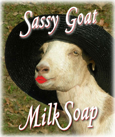 SassyGoatMilkSoap.jpeg