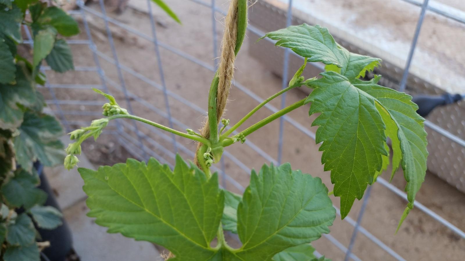 20150521_175521.jpg