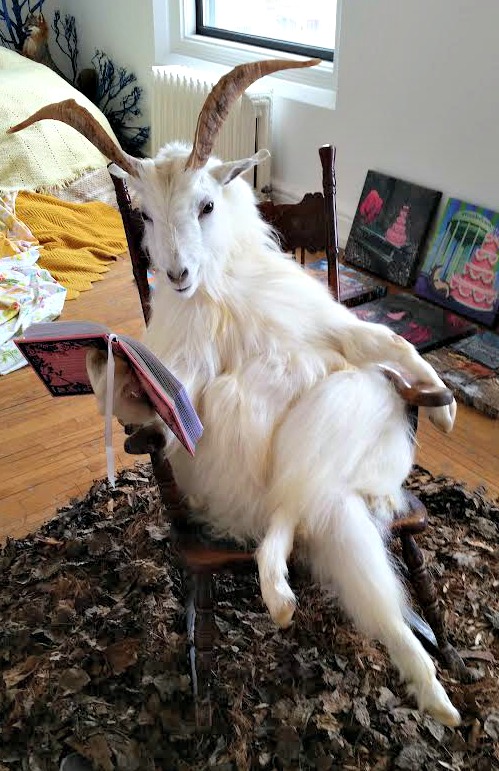 goatbook.jpg