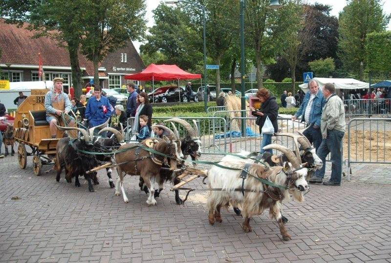 GoatWagon.jpg