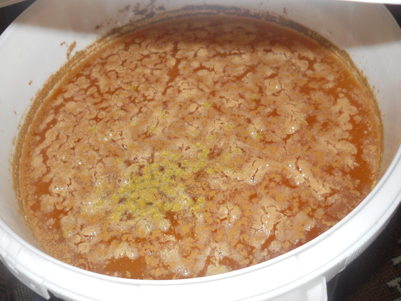 DSCN2061.jpg