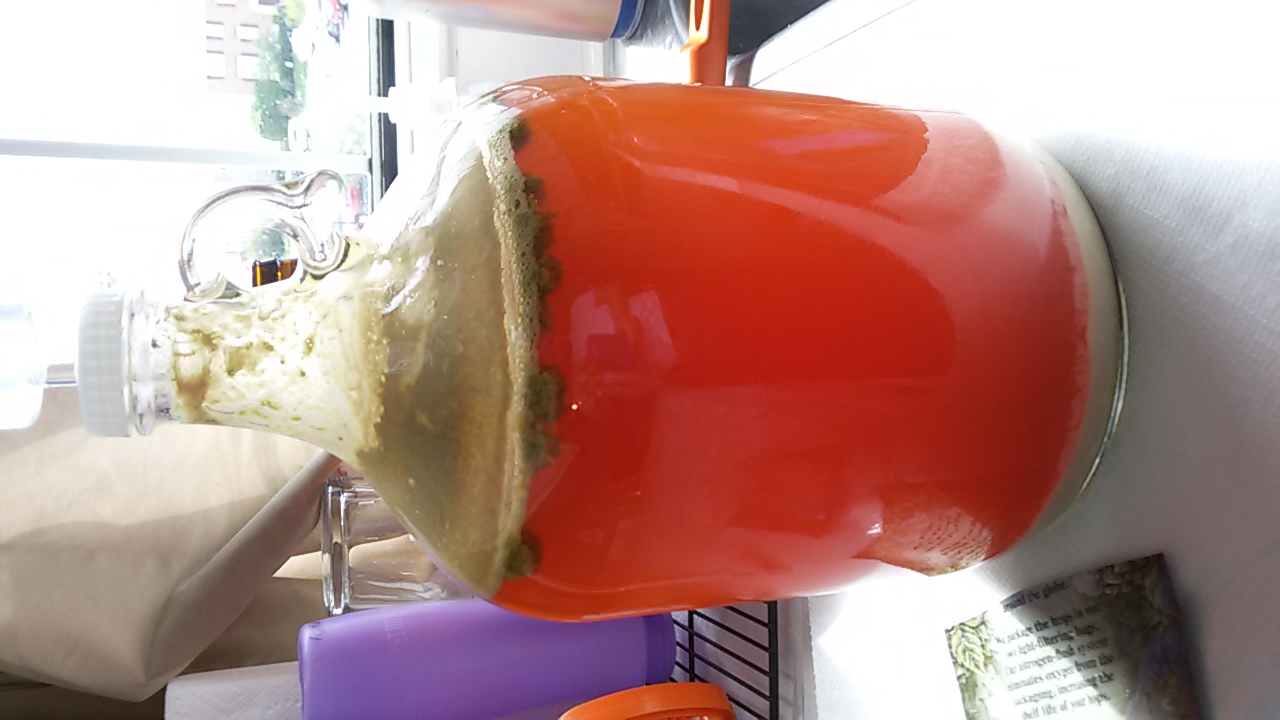 20150706_105035.jpg