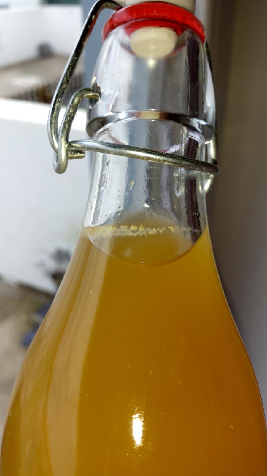 20150717_171344_2.jpg