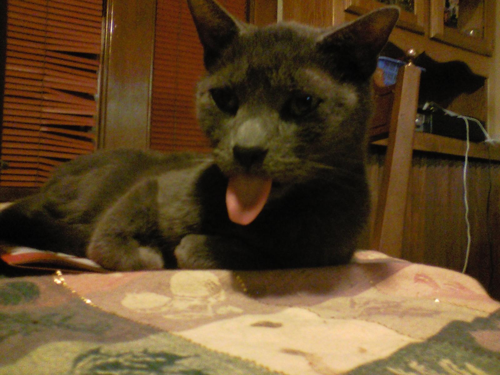0928132009a.jpg