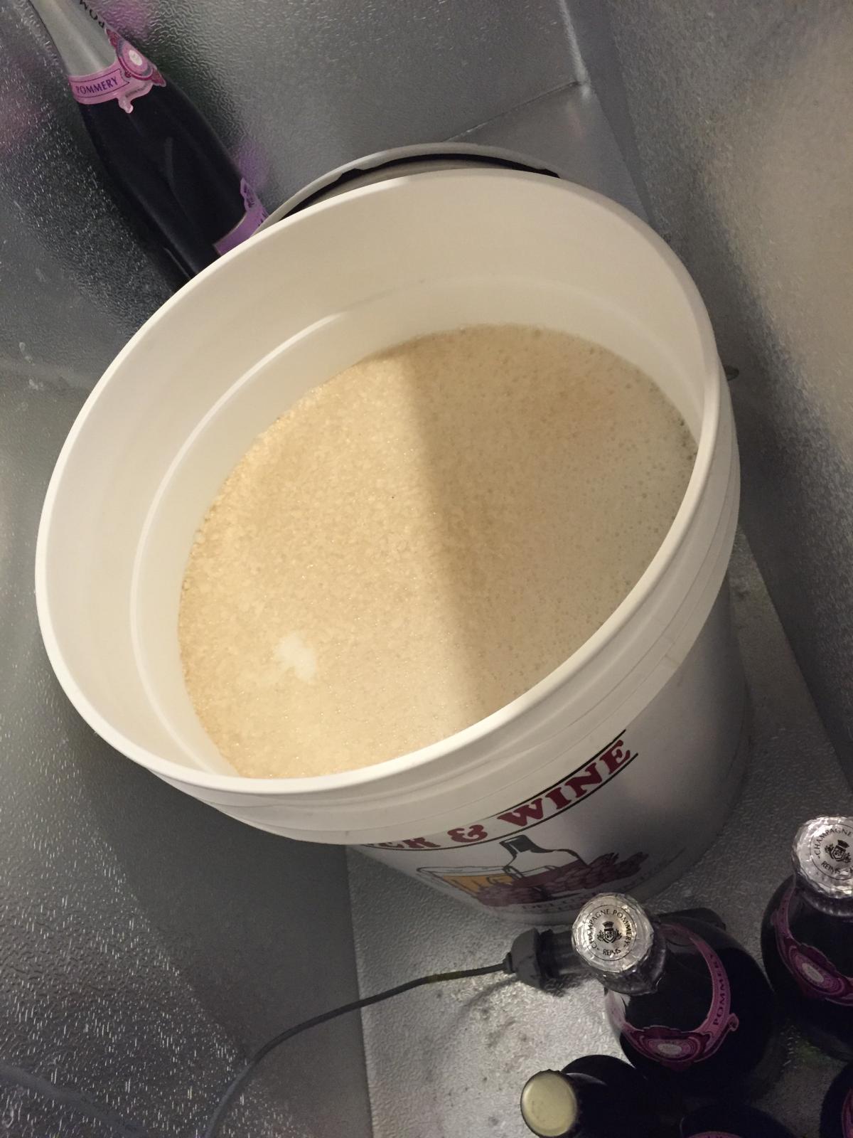 FullSizeRender 67.jpg