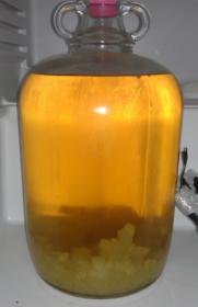 melonmead.jpg melonmead.jpg