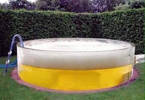 beerpool.jpg
