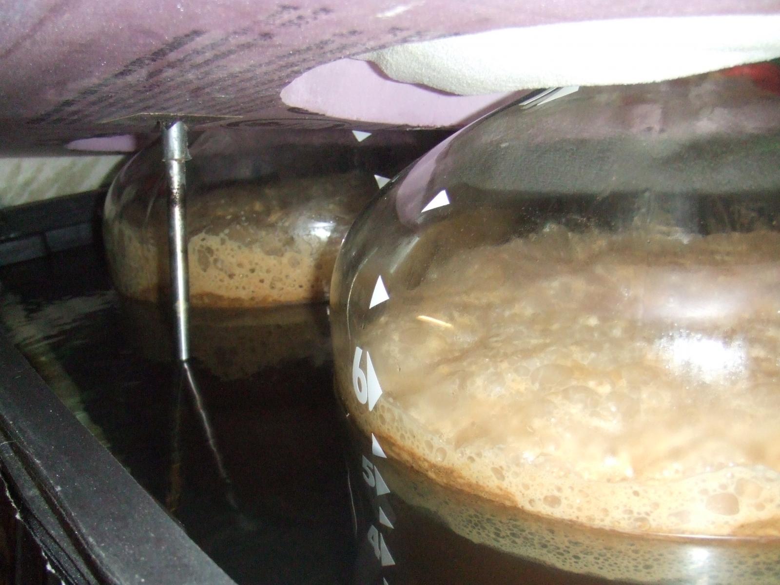 Brewday150809-2.jpg