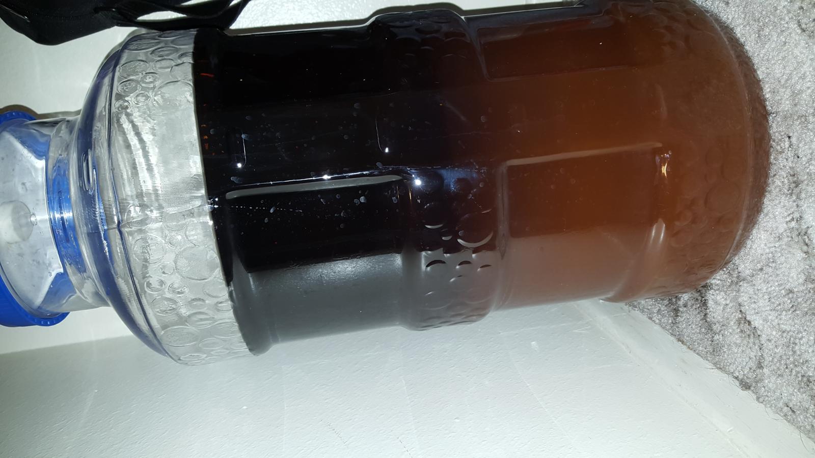 20150924_022955.jpg