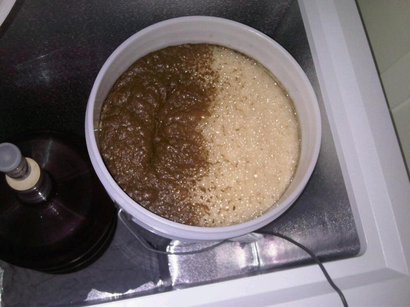 yin_yang_yeast.jpg yin_yang_yeast.jpg
