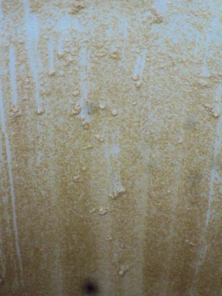 100_0598.jpg