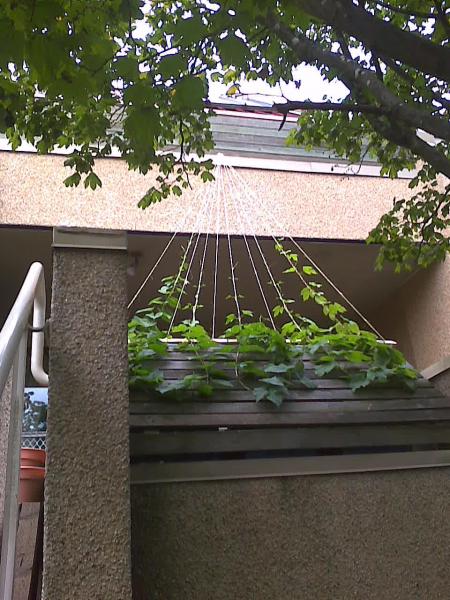 Image0071.jpg