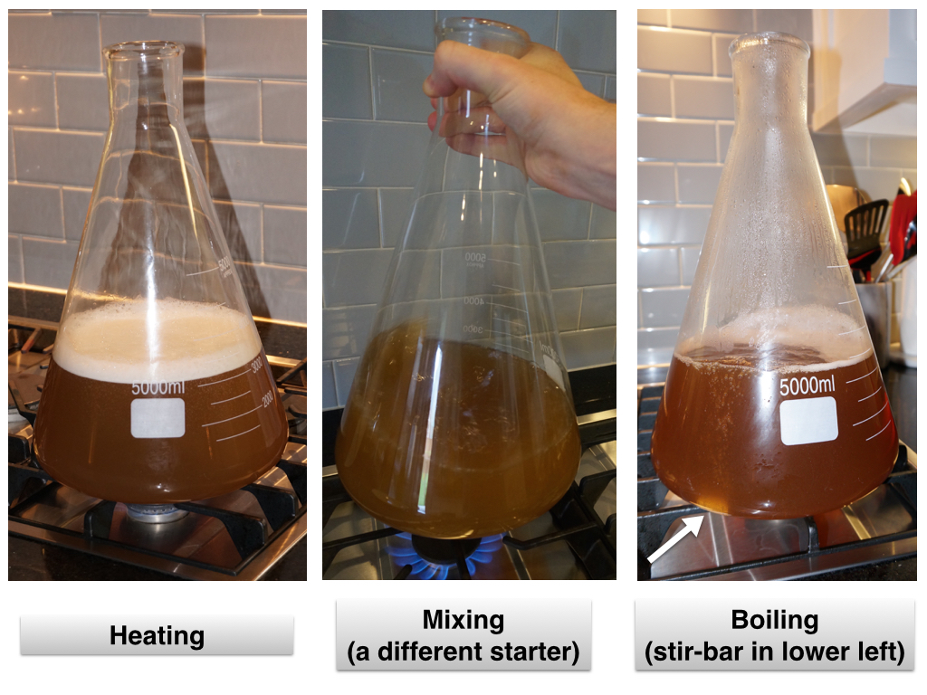 Flask vs Beaker? Homebrew Talk Beer, Wine, Mead, & Cider Brewing