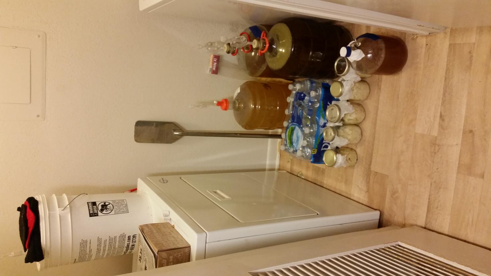 20151009_123303.jpg