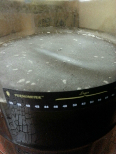 Supplication Pellicle 2.jpg