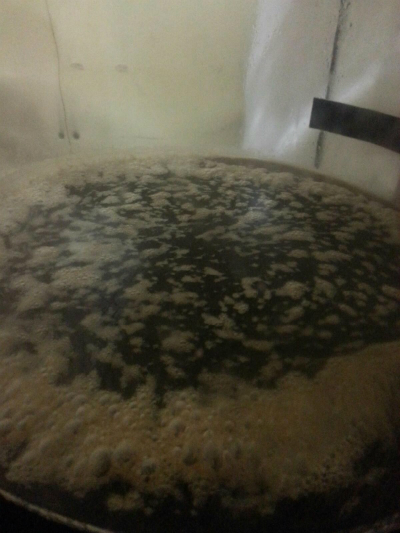 Supplication Pellicle 1.jpg