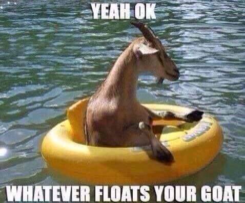 goat float.jpg