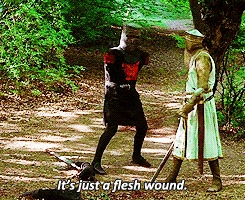 Just a Flesh Wound Gif In Monty Python and the Holy Grail.gif