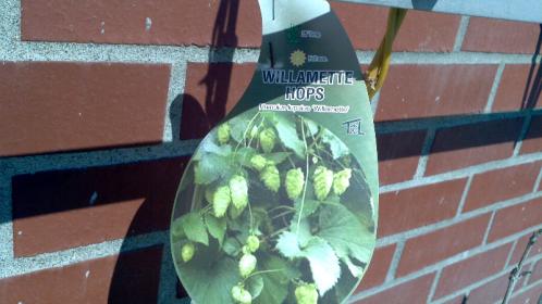 ForumRunner_20110909_152535.jpg