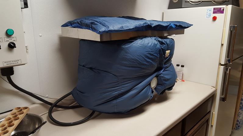Blanket Wrap.jpg