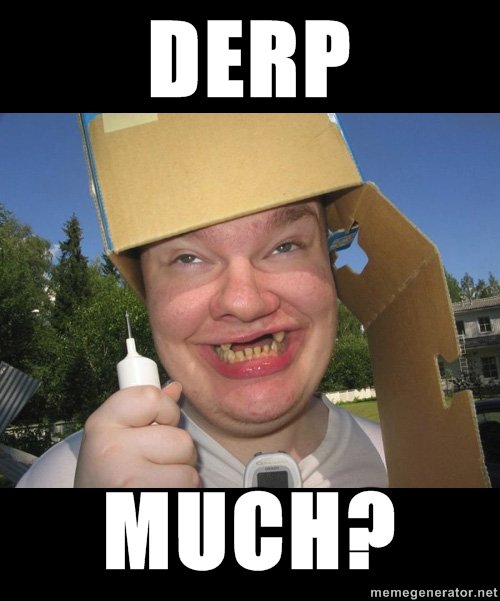 derp much.jpg