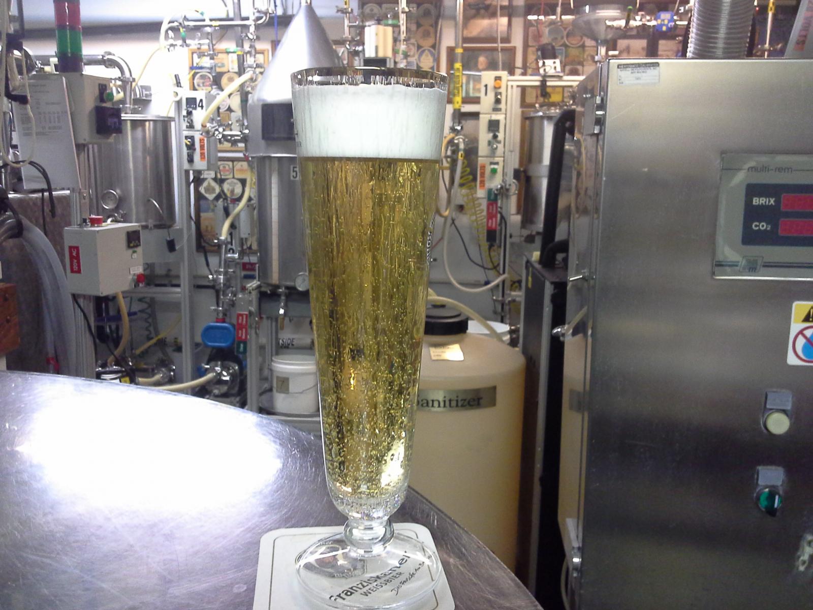 Pils-01-2916.jpg