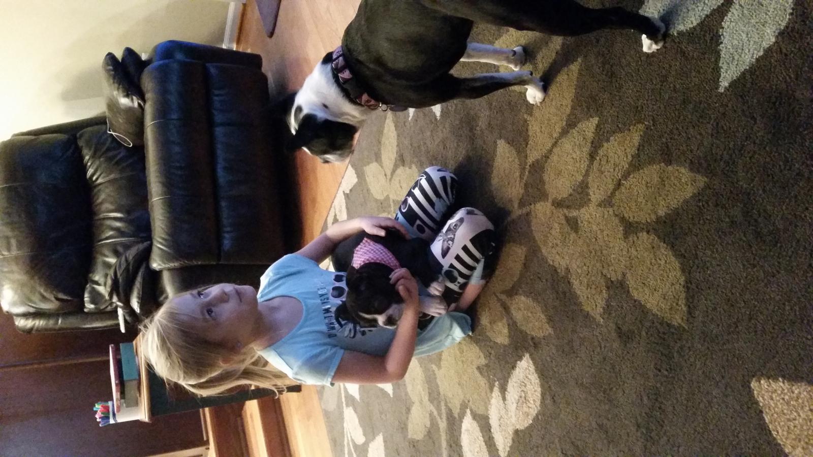 2016-01-23 17.46.35.jpg