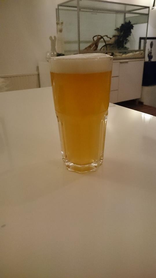 beer.jpg