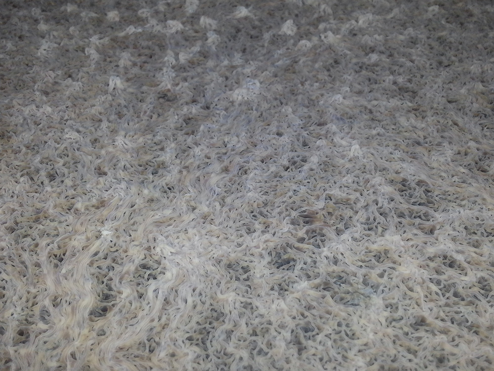 20160210_162543.jpg 20160210_162543.jpg