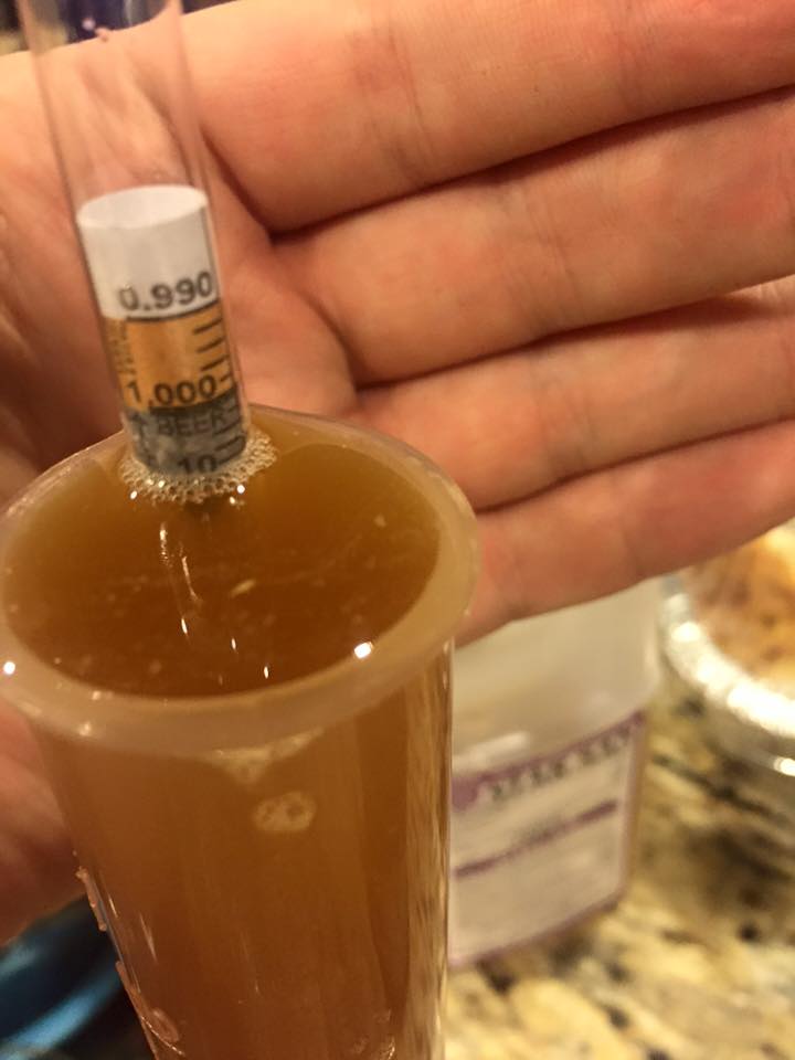 ipa.jpg