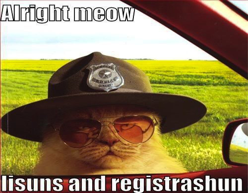 lolcat _ Collection of Awesome.jpg