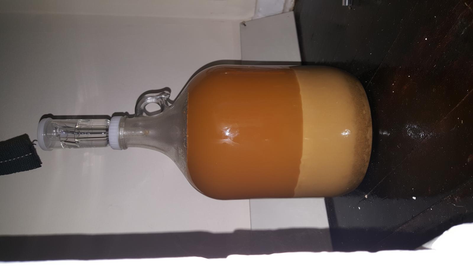 20160110_104025.jpg