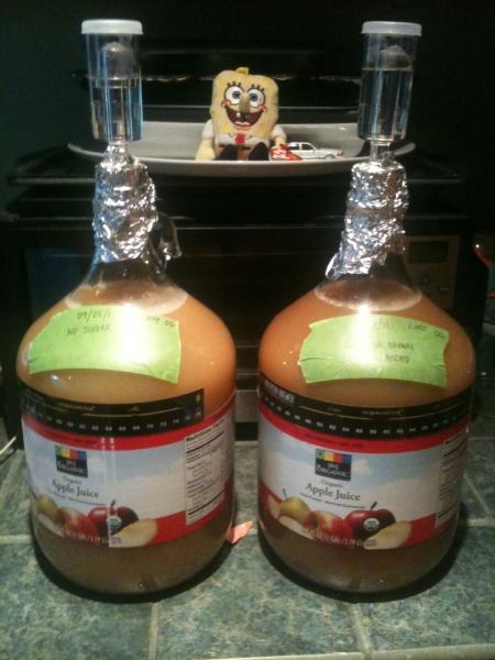 Cider Experiment Day 01 - Brew Day.jpg