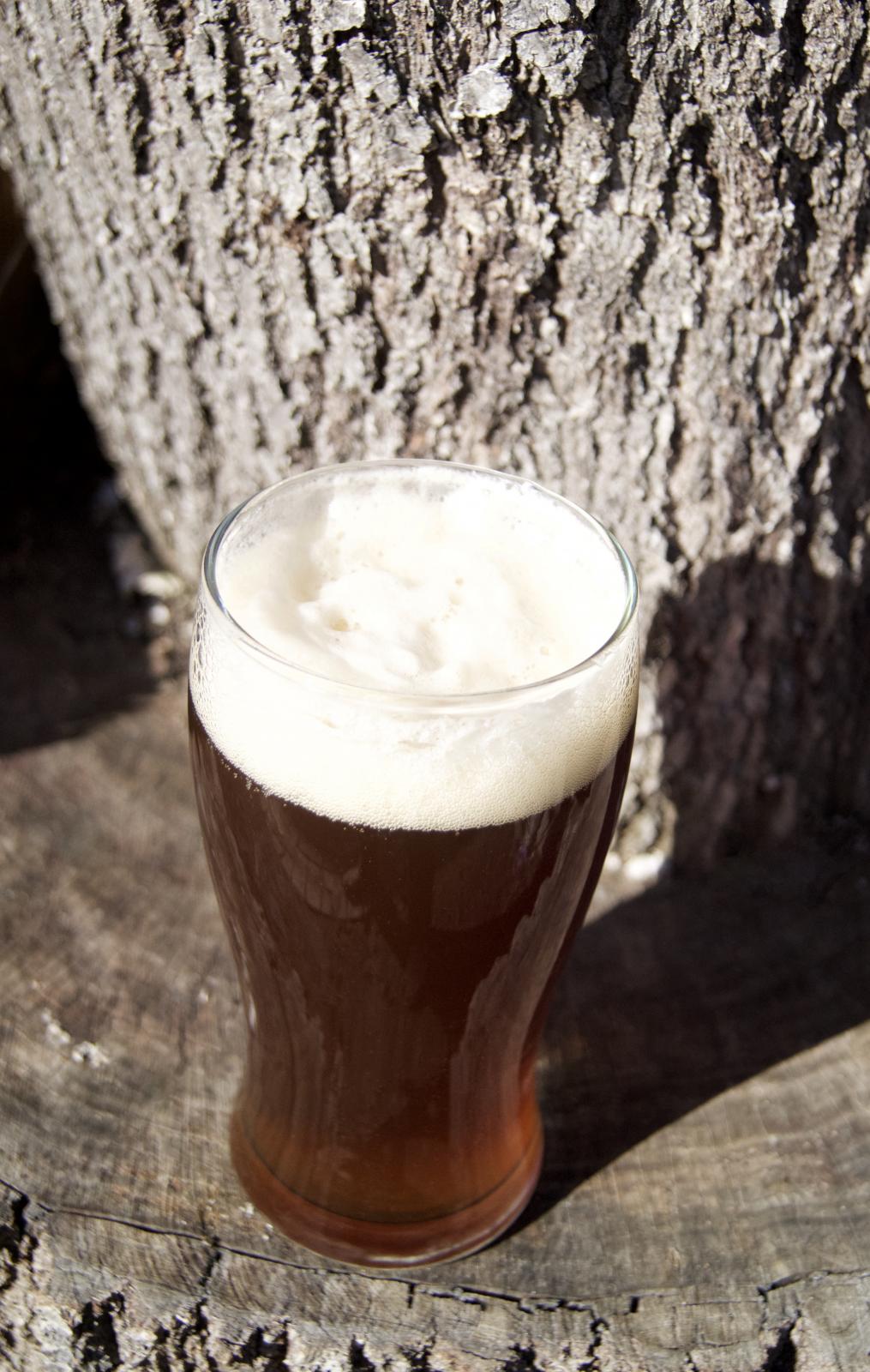 Beer on Stump2.jpg