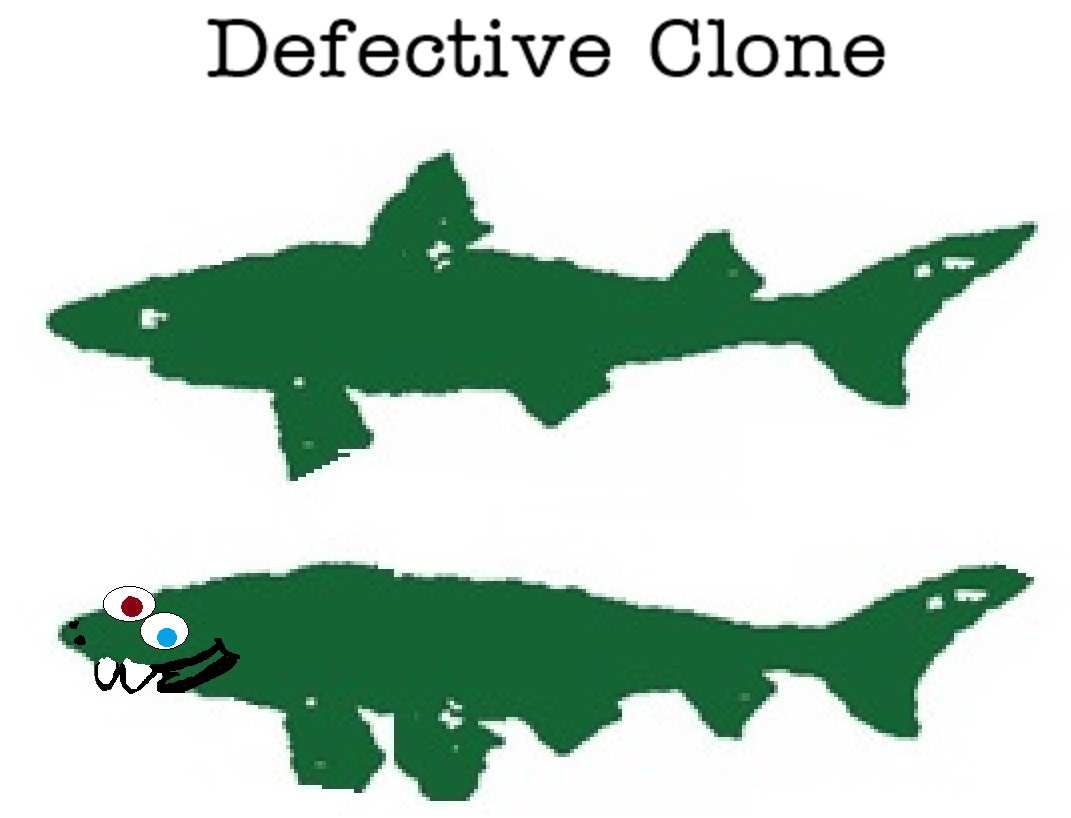 Defective Clone.jpg