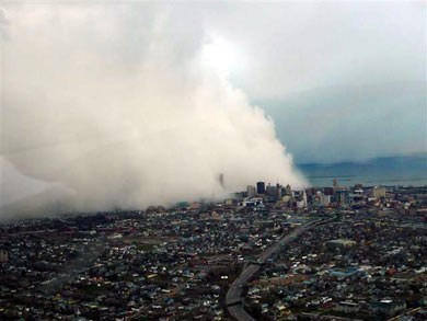 buffalo.jpg