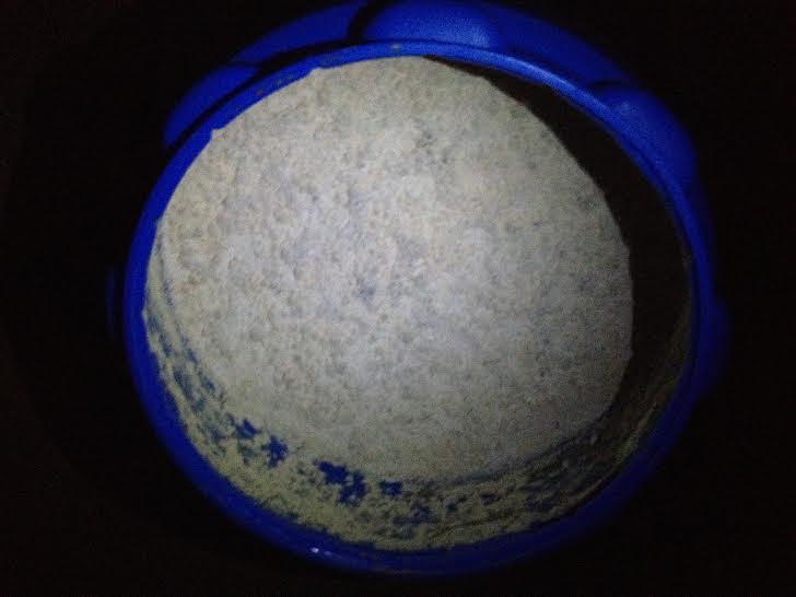 pellicle2.jpg