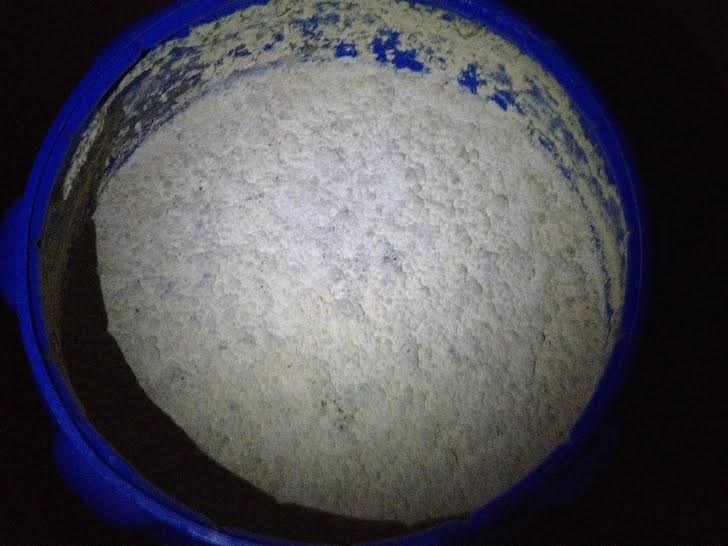 pellicle3.jpg