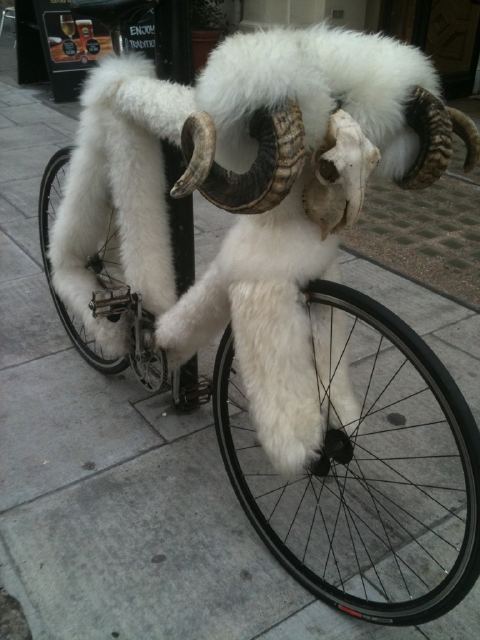 goatcycle.jpg