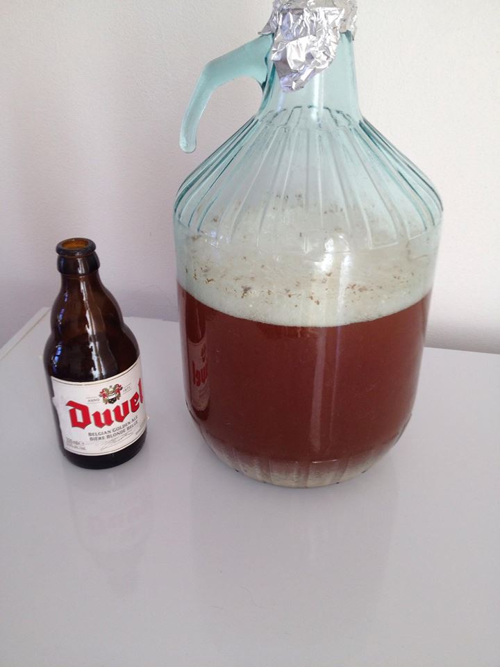 duvel.jpg