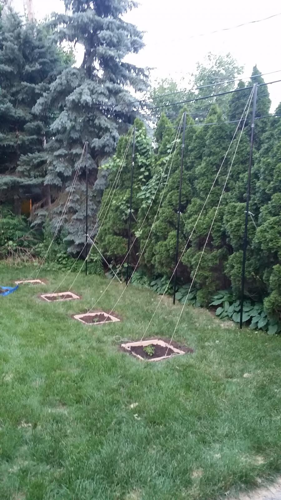 20150629_211018.jpg
