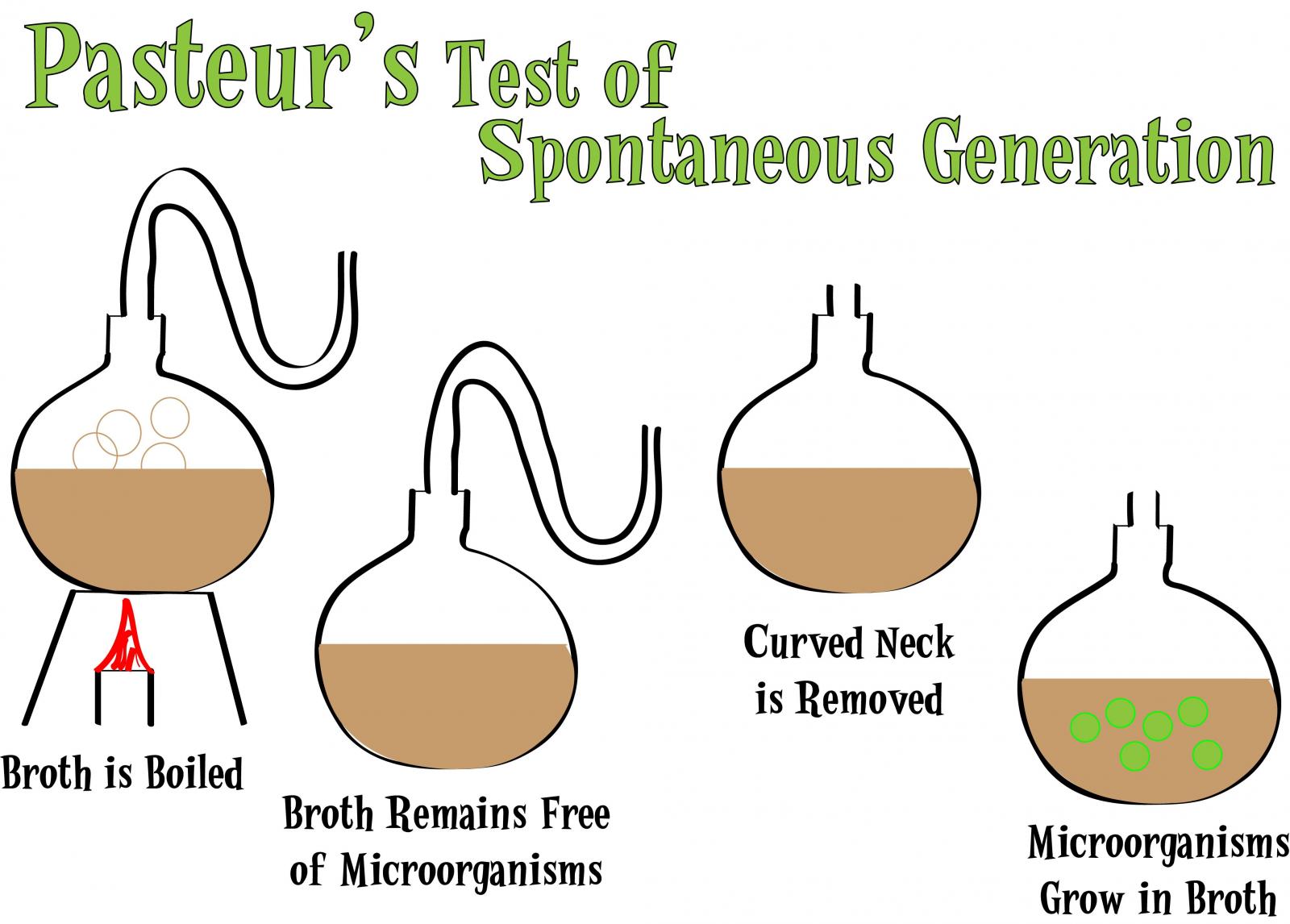 pasteurs-experiment1315662118978.jpg