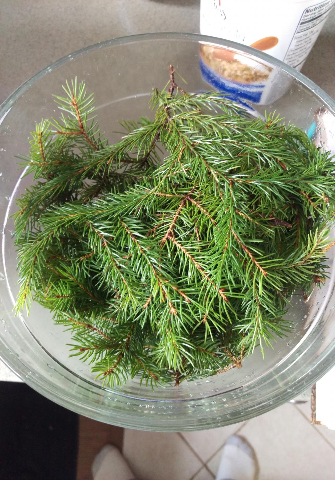 IMAG0533.jpg