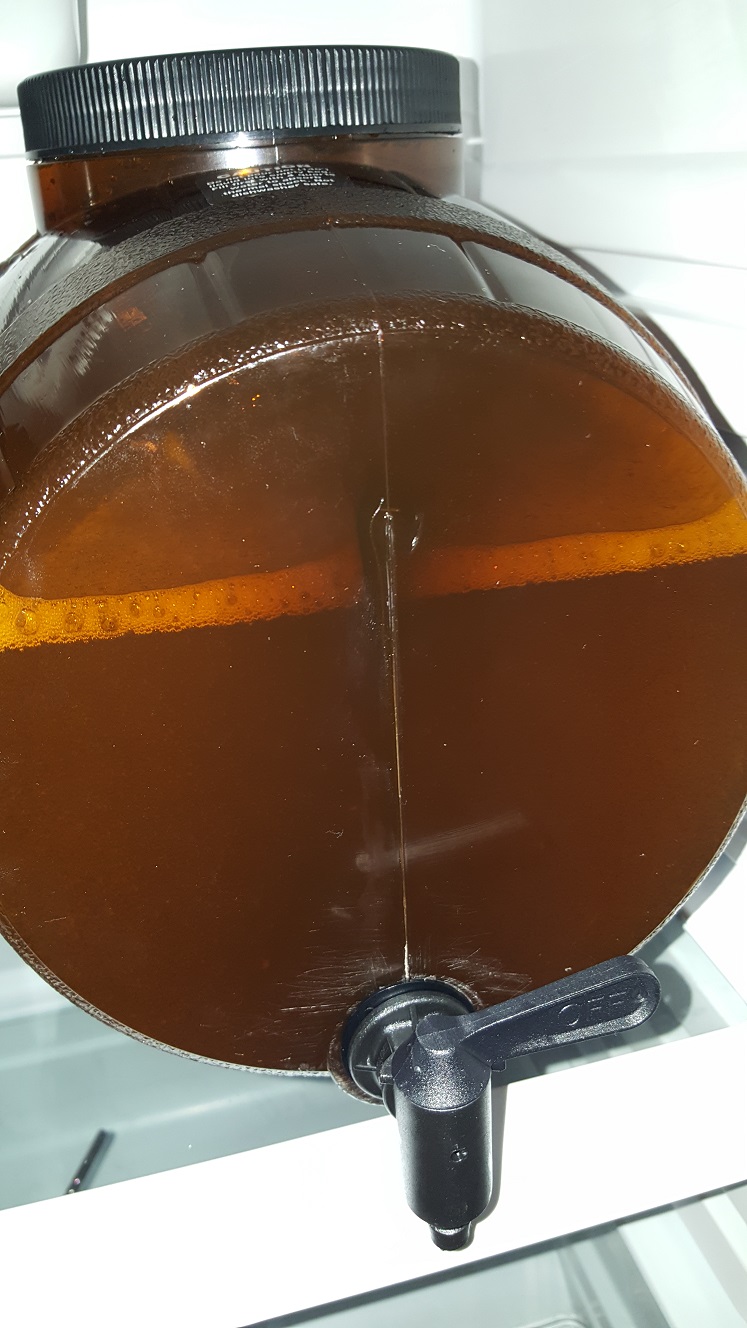 mrbeer01ferm.jpg