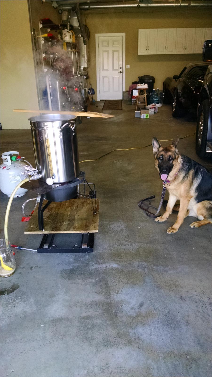 Brew Buddy.jpg