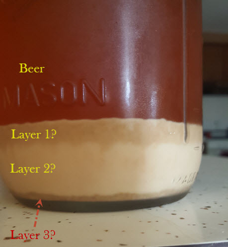 Yeast_Slurry.jpg Yeast_Slurry.jpg