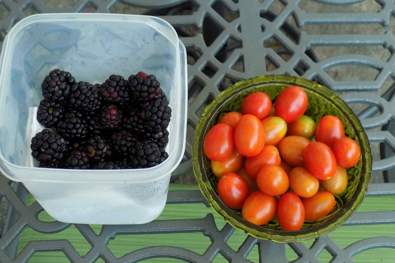 blackberries and tomatoes.jpg